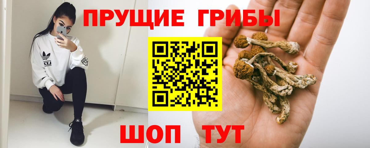 Галлюциногенные грибы Cubensis Белая Калитва